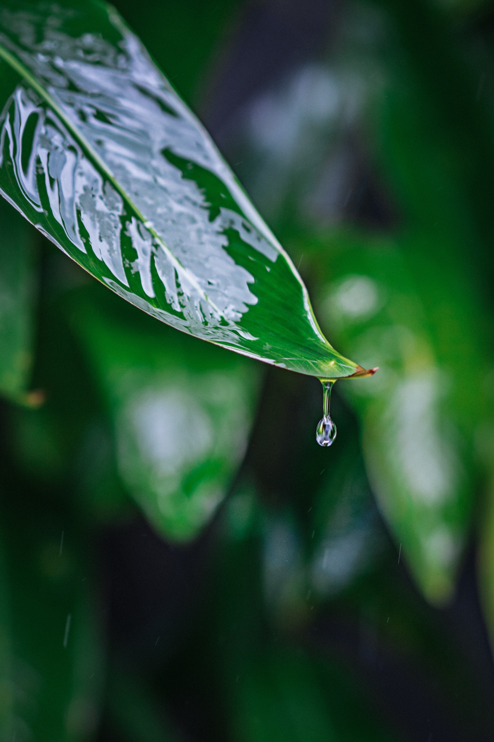 Agua y Cambio Climático